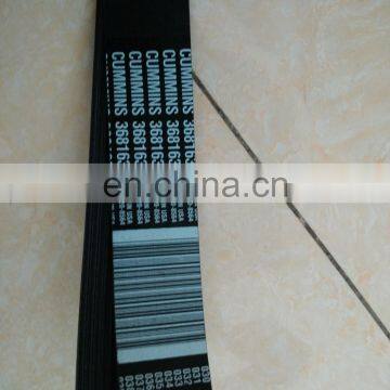 3681636 Belt