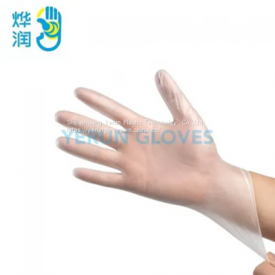 Disposable Vinyl Gloves