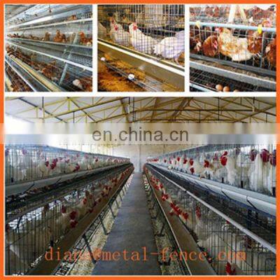 Chicken Cage for Sale in Philippines/Cage for Transport of Chicken/Chicken Transport Cage photo-5