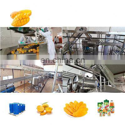 Automatic Dry/dried/drying Fruit Plant Machine Processing Line Manufacturer photo-2