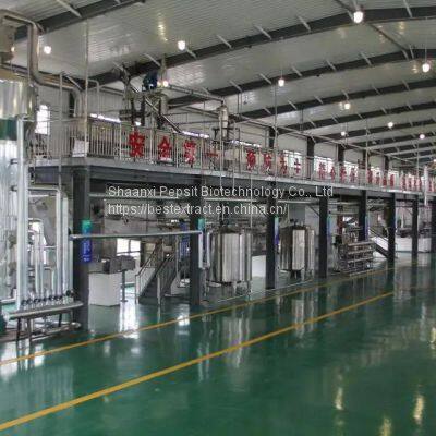 Echinacea Purpurea photo-5