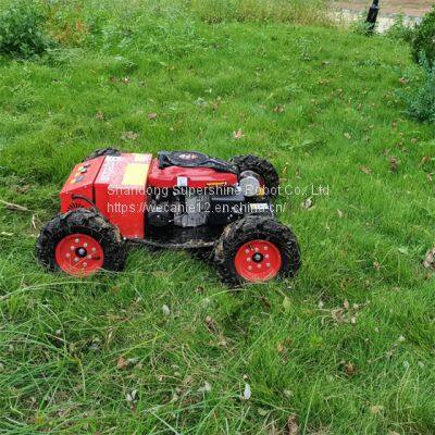 affordable Remote control mower