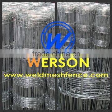 Hot Dipped Galvanized Hinge Joint Fencing Wire| Werson Fence photo-6