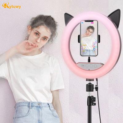 Cat ear makeup Selfie 10 inch 10inch RGB Ring Fill light with tripod stand Photography Phone flash Ringlight Lamp fashion circle