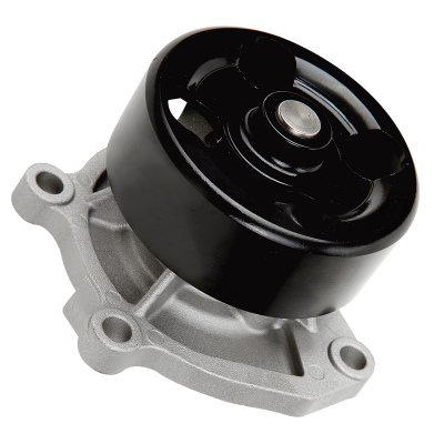 Wasserpumpe für NISSAN, Teile-Nr. 210103RC1A