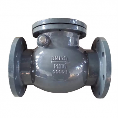 DIN BS Flanged End Metal Seat Check Valve Pn16 2-24 Inch Stop Valve for Water Oil Gas Appliance photo-4