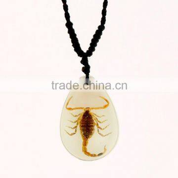 2016 novel gifts resin necklace with real insect