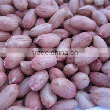 FLOWER 11 PEANUT KERNELS 24/28