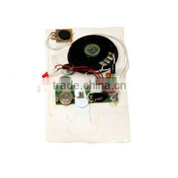 10s Record Time Recordable Sound Modules for Greeting Card