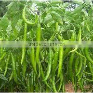 Suvimie Chili Pieces photo-3