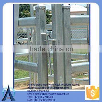 galvanized steel tube sheep panels