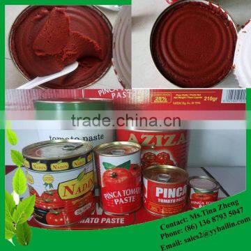 Good Factory Supply High Quality Canned Tomato Paste OEM brand acceptable