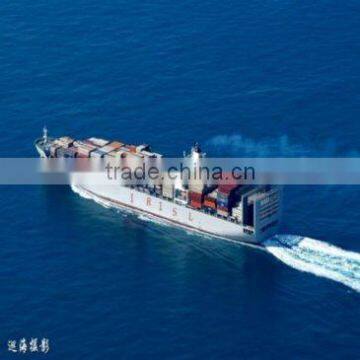 Sea freight shipping from shenzhen Foshan Guangzhou to San juan of Puerto Rico