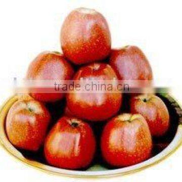 Chinese Huaniu apple