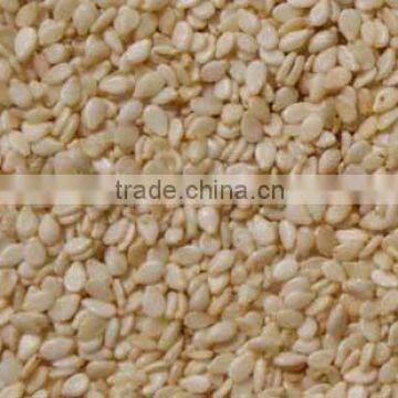 White Sesame Seeds
