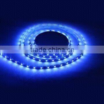 SMD 5050 led strip (30 pcs per meter)