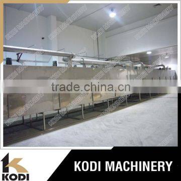 DW Model Food Industry Mesh Belt Drying Machine