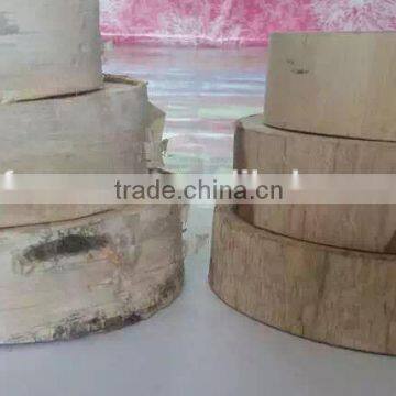 High quality White birch log for home decoration