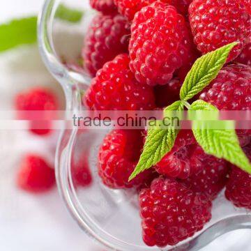 Raspberry Extract