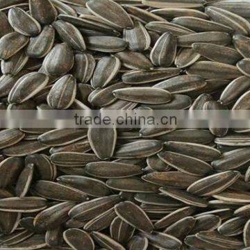 Chinese sunflower seeds 0409