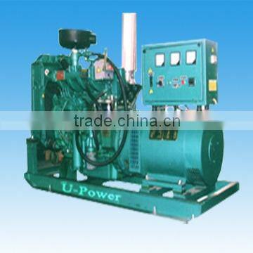 U-Power Gas Generator(10-200KW)