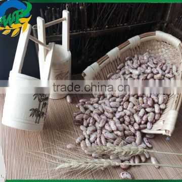 Chinese Light Speckled Kidney Beans for Europ