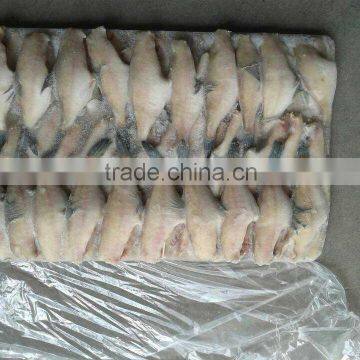 Frozen Leather Jacket Fish photo-4