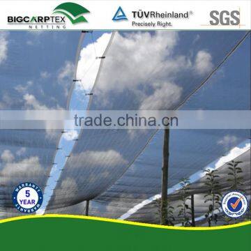 43 Grm HDPE Agriculture Leno Anti Hail Net photo-2
