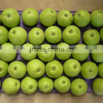 2015 China Green Apple Gala photo-5