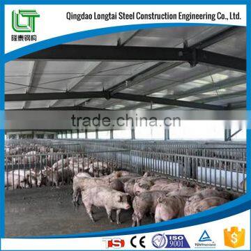 High quality Long span steel structure FOR pig farm