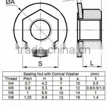 M3, M4, M5, M6, M8 Conical Kep Nut