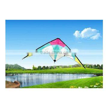 Dual Line Delta Stunt Kites - Curved Edge Kites