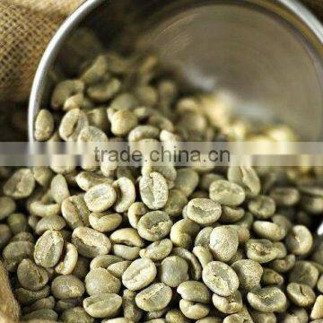 Cheaper Price Indian coffee Bean COFFEE BEANS ROBUSTA A