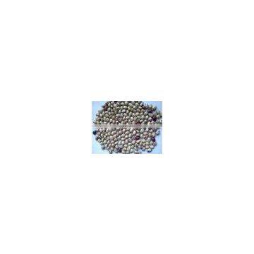 Light Speckled Kidney Bean