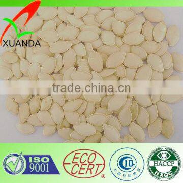 china pumpkin seeds