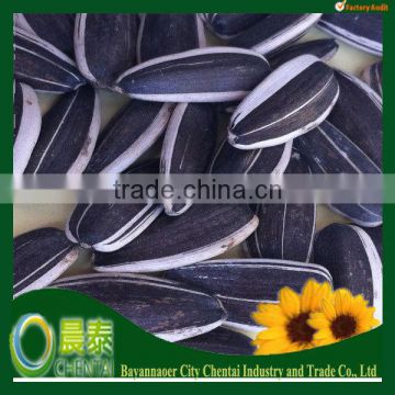 Inner Mongolia Black Sunflower Seeds Top Quality 24/64