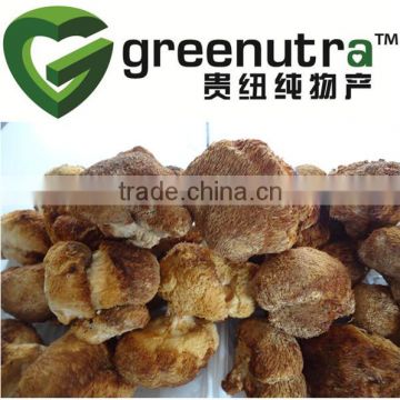 Hericium Erinaceus Mushroom Extract