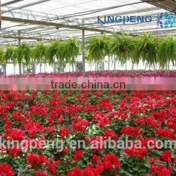 Vegetable Growing Greenhouse photo-5