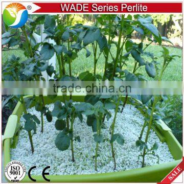Good Quality Expanded Perlite Widely Use in Garden for Seed Raising photo-2
