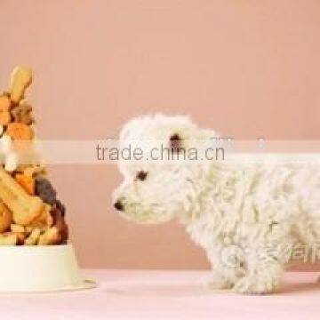 Twin Screw Extruder for Dog Food photo-2