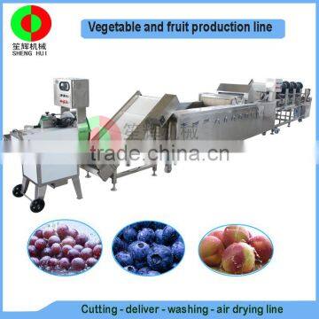Very Popular Air Bubble Ozone Fruit and Vegetable Cutting Washing Drying Production Line, Full Automatic Machine photo-2