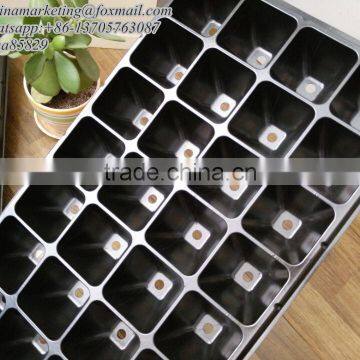 Large Cell Black PS Plastic Plug Nursery Plant Seedling Tray for Seed Propagator photo-3