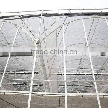 Agriculture Plastic Large Multi Span Commercial Greenhouse for Sale photo-2