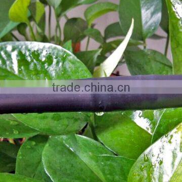 pe Pipe for Irrigation High Quality Good Cheap Price Manufacturer Factory Farmland Orchard Greenhouse Water Pipe Planting Pipe photo-2