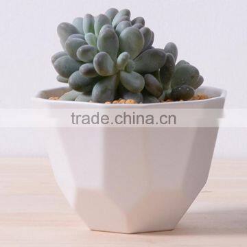 2016 new design irregular ceramic succulent planter