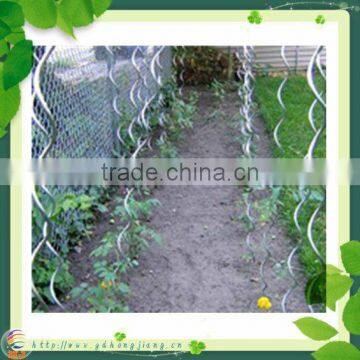 Tomato Plant Spiral Support Stakes photo-4