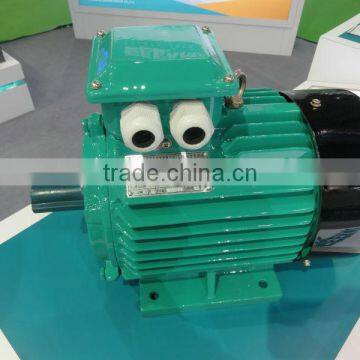 Cast Iron IE1 Three Phase Electric Motor photo-6