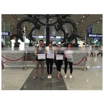 Adjustable Pipe Clamps and Galvanized Strut Channel