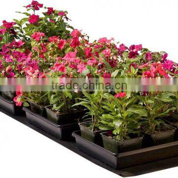 Garden Seedling Heating Mat With Thermostat for Sale photo-4