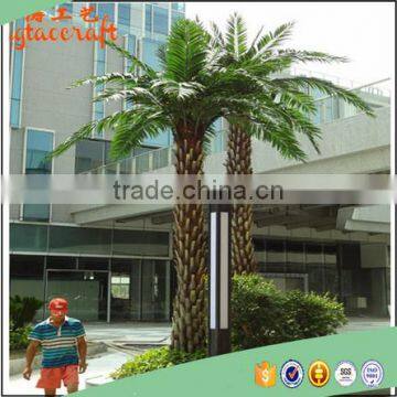 2015 Hot Sale Outdoor Large Fake Plastic Palm Tree Plants and Artificial Palm Tree Decorative photo-2
